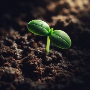  a-seed-breaking-through-the-soil.jpg